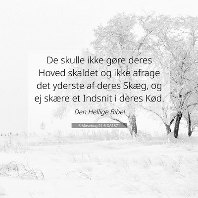 Picture 07 - 3 Mosebog 21:5 DA1871 - De skulle ikke gøre deres Hoved skaldet og ikke - Bible Verse Picture