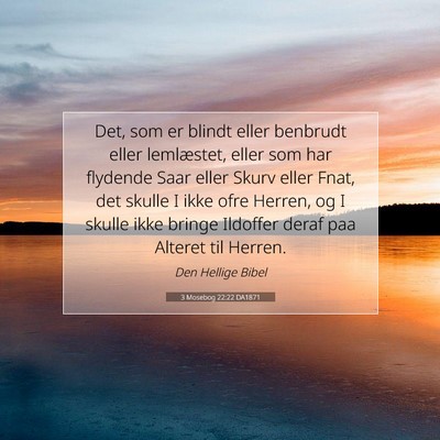Picture 07 - 3 Mosebog 22:22 DA1871 - Det, som er blindt eller benbrudt eller - Bible Verse Picture