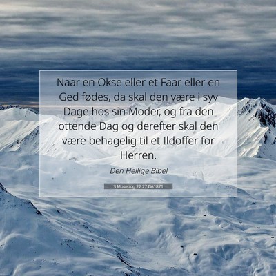 Picture 07 - 3 Mosebog 22:27 DA1871 - Naar en Okse eller et Faar eller en Ged fødes, - Bible Verse Picture