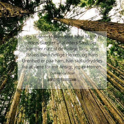 Picture 07 - 3 Mosebog 22:3 DA1871 - Sig til dem: Hvilken som helst Mand i eders - Bible Verse Picture