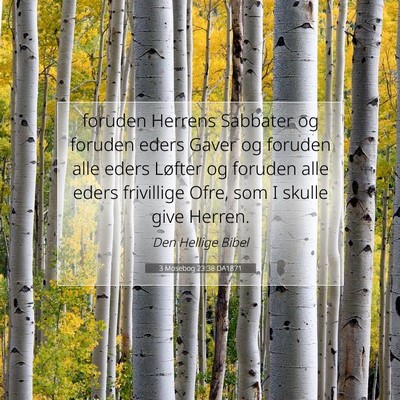 Picture 07 - 3 Mosebog 23:38 DA1871 - foruden Herrens Sabbater og foruden eders Gaver - Bible Verse Picture