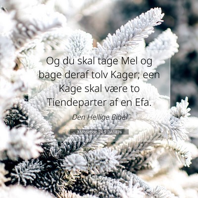 Picture 07 - 3 Mosebog 24:5 DA1871 - Og du skal tage Mel og bage deraf tolv Kager; een - Bible Verse Picture