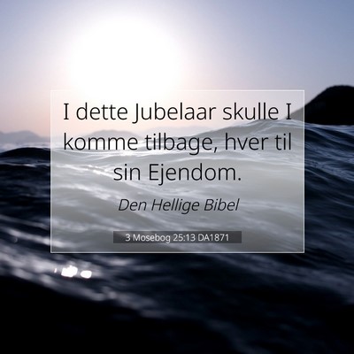 Picture 07 - 3 Mosebog 25:13 DA1871 - I dette Jubelaar skulle I komme tilbage, hver til - Bible Verse Picture