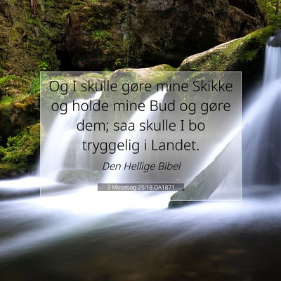 Picture 07 - 3 Mosebog 25:18 DA1871 - Og I skulle gøre mine Skikke og holde mine Bud - Bible Verse Picture