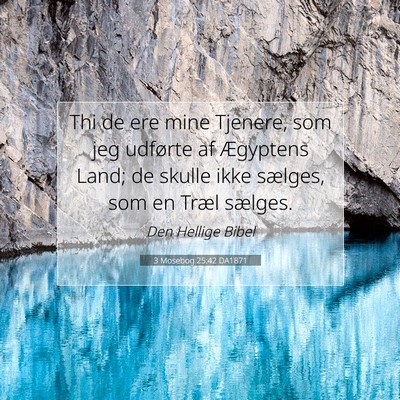 Picture 07 - 3 Mosebog 25:42 DA1871 - Thi de ere mine Tjenere, som jeg udførte af - Bible Verse Picture
