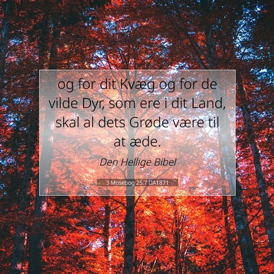 Picture 07 - 3 Mosebog 25:7 DA1871 - og for dit Kvæg og for de vilde Dyr, som ere i - Bible Verse Picture