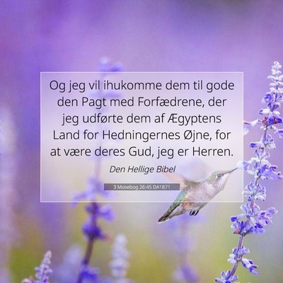 Picture 07 - 3 Mosebog 26:45 DA1871 - Og jeg vil ihukomme dem til gode den Pagt med - Bible Verse Picture