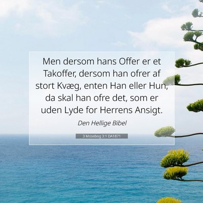 Picture 07 - 3 Mosebog 3:1 DA1871 - Men dersom hans Offer er et Takoffer, dersom han - Bible Verse Picture