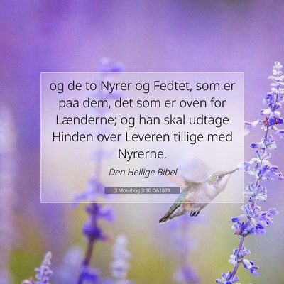 Picture 07 - 3 Mosebog 3:10 DA1871 - og de to Nyrer og Fedtet, som er paa dem, det som - Bible Verse Picture