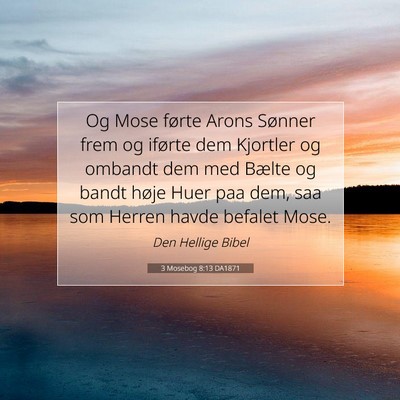 Picture 07 - 3 Mosebog 8:13 DA1871 - Og Mose førte Arons Sønner frem og iførte dem - Bible Verse Picture