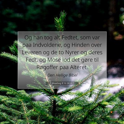 Picture 07 - 3 Mosebog 8:16 DA1871 - Og han tog alt Fedtet, som var paa Indvoldene, og - Bible Verse Picture