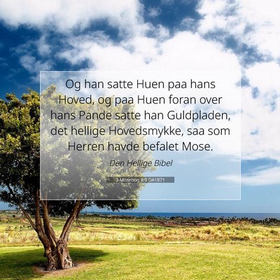 Picture 07 - 3 Mosebog 8:9 DA1871 - Og han satte Huen paa hans Hoved, og paa Huen - Bible Verse Picture