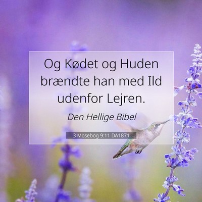 Picture 07 - 3 Mosebog 9:11 DA1871 - Og Kødet og Huden brændte han med Ild udenfor - Bible Verse Picture