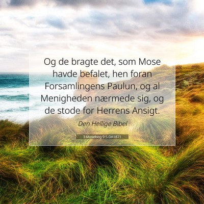 Picture 07 - 3 Mosebog 9:5 DA1871 - Og de bragte det, som Mose havde befalet, hen - Bible Verse Picture