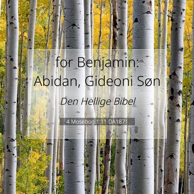 Picture 07 - 4 Mosebog 1:11 DA1871 - for Benjamin: Abidan, Gideoni - Bible Verse Picture