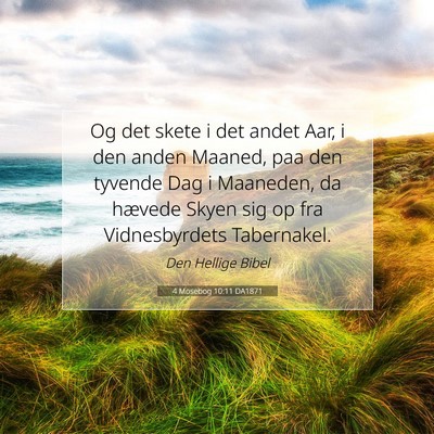 Picture 07 - 4 Mosebog 10:11 DA1871 - Og det skete i det andet Aar, i den anden Maaned, - Bible Verse Picture