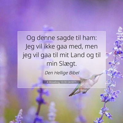 Picture 07 - 4 Mosebog 10:30 DA1871 - Og denne sagde til ham: Jeg vil ikke gaa med, men - Bible Verse Picture