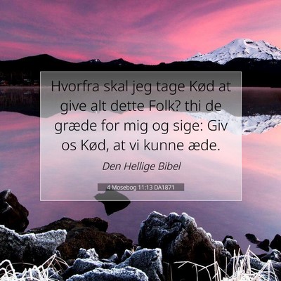 Picture 07 - 4 Mosebog 11:13 DA1871 - Hvorfra skal jeg tage Kød at give alt dette - Bible Verse Picture