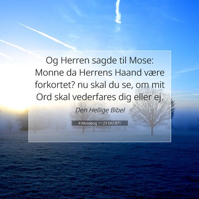 Picture 07 - 4 Mosebog 11:23 DA1871 - Og Herren sagde til Mose: Monne da Herrens Haand - Bible Verse Picture