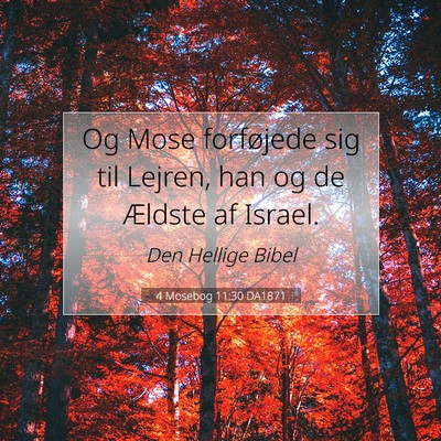 Picture 07 - 4 Mosebog 11:30 DA1871 - Og Mose forføjede sig til Lejren, han og de - Bible Verse Picture