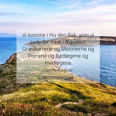 Picture 07 - 4 Mosebog 11:5 DA1871 - Vi komme i Hu den Fisk, som vi aade for intet i - Bible Verse Picture