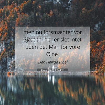 Picture 07 - 4 Mosebog 11:6 DA1871 - men nu forsmægter vor Sjæl; thi her er slet - Bible Verse Picture