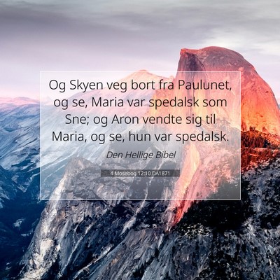 Picture 07 - 4 Mosebog 12:10 DA1871 - Og Skyen veg bort fra Paulunet, og se, Maria var - Bible Verse Picture