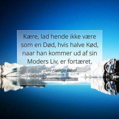 Picture 07 - 4 Mosebog 12:12 DA1871 - Kære, lad hende ikke være som en Død, hvis - Bible Verse Picture