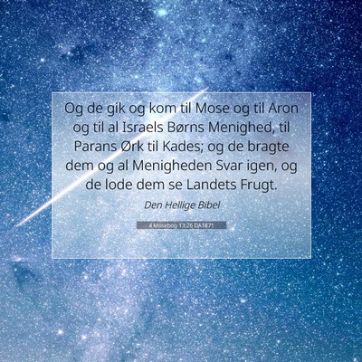 Picture 07 - 4 Mosebog 13:26 DA1871 - Og de gik og kom til Mose og til Aron og til al - Bible Verse Picture