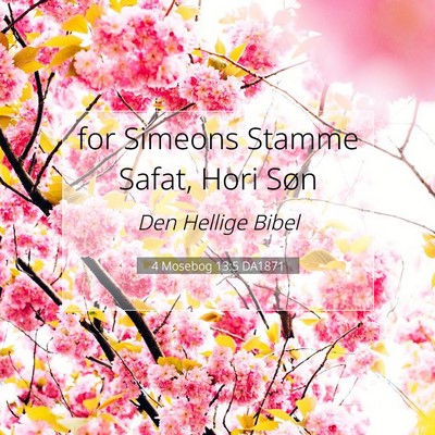 Picture 07 - 4 Mosebog 13:5 DA1871 - for Simeons Stamme Safat, Hori - Bible Verse Picture