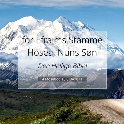 Picture 07 - 4 Mosebog 13:8 DA1871 - for Efraims Stamme Hosea, Nuns - Bible Verse Picture