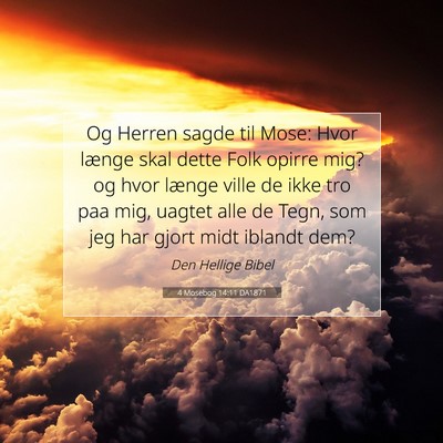 Picture 07 - 4 Mosebog 14:11 DA1871 - Og Herren sagde til Mose: Hvor længe skal dette - Bible Verse Picture