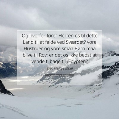 Picture 07 - 4 Mosebog 14:3 DA1871 - Og hvorfor fører Herren os til dette Land til at - Bible Verse Picture