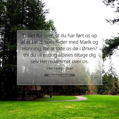 Picture 07 - 4 Mosebog 16:13 DA1871 - Er det for lidet, at du har ført os op af et - Bible Verse Picture