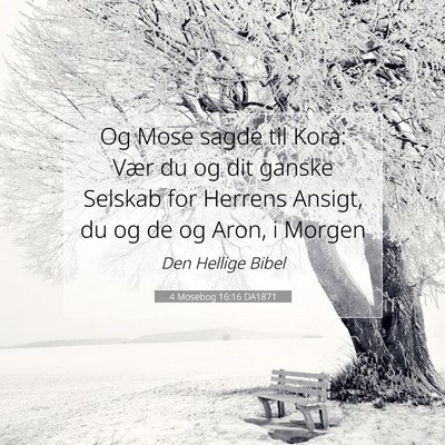Picture 07 - 4 Mosebog 16:16 DA1871 - Og Mose sagde til Kora: Vær du og dit ganske - Bible Verse Picture
