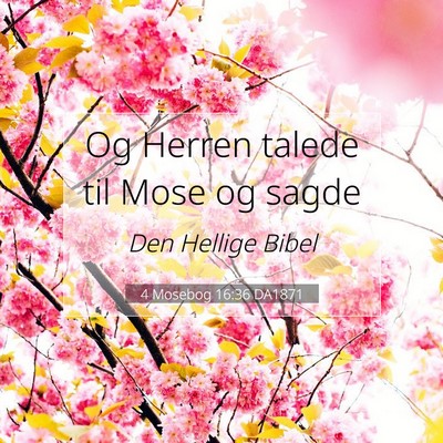 Picture 07 - 4 Mosebog 16:36 DA1871 - Og Herren talede til Mose og - Bible Verse Picture
