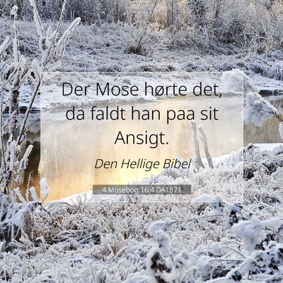 Picture 07 - 4 Mosebog 16:4 DA1871 - Der Mose hørte det, da faldt han paa sit - Bible Verse Picture