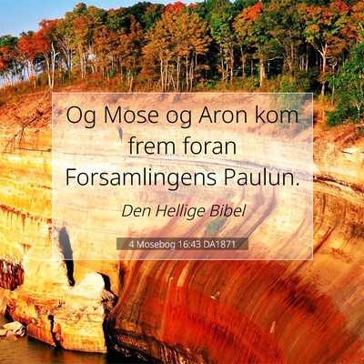 Picture 07 - 4 Mosebog 16:43 DA1871 - Og Mose og Aron kom frem foran Forsamlingens - Bible Verse Picture