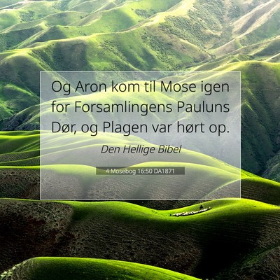Picture 07 - 4 Mosebog 16:50 DA1871 - Og Aron kom til Mose igen for Forsamlingens - Bible Verse Picture