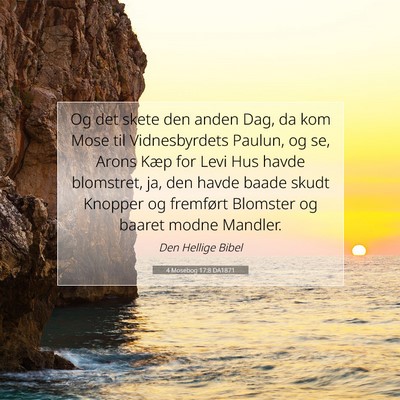 Picture 07 - 4 Mosebog 17:8 DA1871 - Og det skete den anden Dag, da kom Mose til - Bible Verse Picture