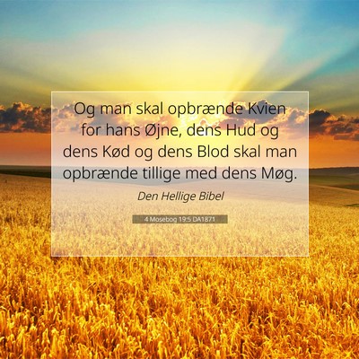 Picture 07 - 4 Mosebog 19:5 DA1871 - Og man skal opbrænde Kvien for hans Øjne, dens - Bible Verse Picture