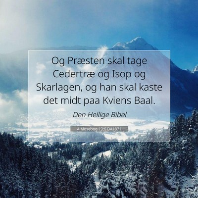 Picture 07 - 4 Mosebog 19:6 DA1871 - Og Præsten skal tage Cedertræ og Isop og - Bible Verse Picture