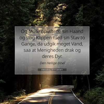 Picture 07 - 4 Mosebog 20:11 DA1871 - Og Mose opløftede sin Haand og slog Klippen med - Bible Verse Picture