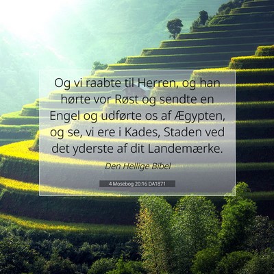Picture 07 - 4 Mosebog 20:16 DA1871 - Og vi raabte til Herren, og han hørte vor Røst - Bible Verse Picture