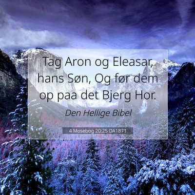 Picture 07 - 4 Mosebog 20:25 DA1871 - Tag Aron og Eleasar, hans Søn, Og før dem op - Bible Verse Picture