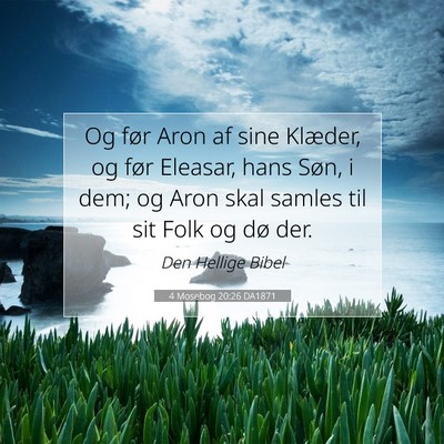 Picture 07 - 4 Mosebog 20:26 DA1871 - Og før Aron af sine Klæder, og før Eleasar, - Bible Verse Picture