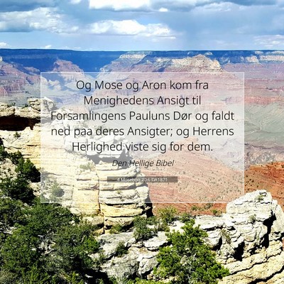 Picture 07 - 4 Mosebog 20:6 DA1871 - Og Mose og Aron kom fra Menighedens Ansigt til - Bible Verse Picture