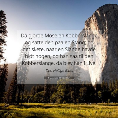 Picture 07 - 4 Mosebog 21:9 DA1871 - Da gjorde Mose en Kobberslange og satte den paa - Bible Verse Picture