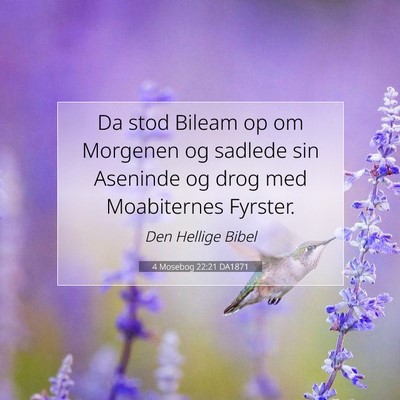 Picture 07 - 4 Mosebog 22:21 DA1871 - Da stod Bileam op om Morgenen og sadlede sin - Bible Verse Picture
