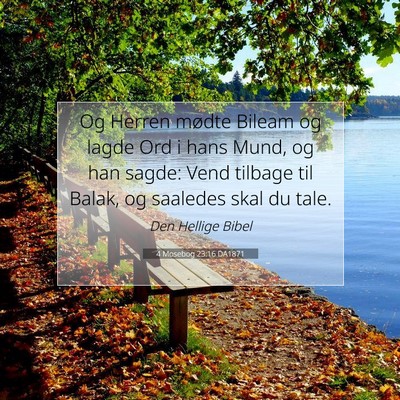 Picture 07 - 4 Mosebog 23:16 DA1871 - Og Herren mødte Bileam og lagde Ord i hans Mund, - Bible Verse Picture